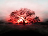 /album/fotogaleria/fondos-pantalla-paisajes-pc-1024-jpg/